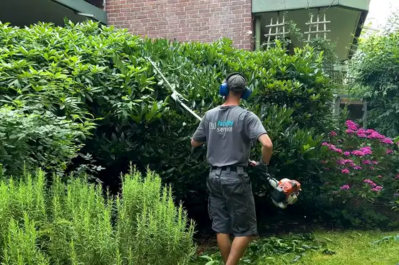 Ein raumgut Mitarbeiter schneidet eine Hecke